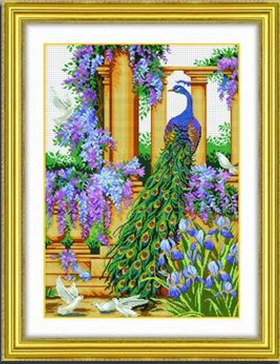 Beautiful Peacock (ไม่พิมพ์/พิมพ์ลาย)