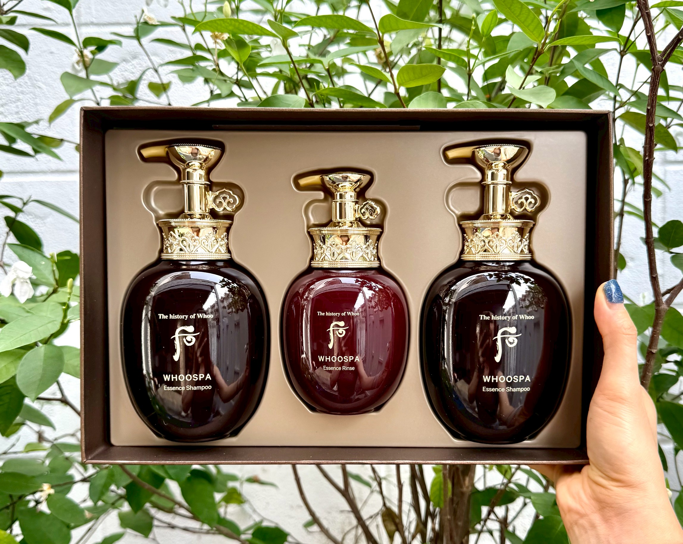 The History Of Whoo – Whoospa Hair Care Set (3 ชิ้น) เซตพรีเมียมดูแลผม