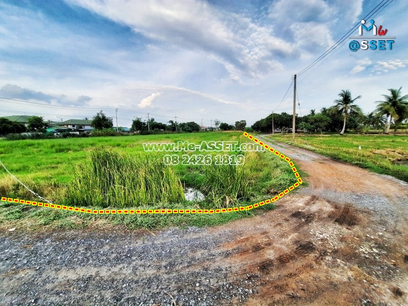 ขายที่ดินเปล่า ย่าน ลานตากฟ้า มหาสวัสดิ์ งิ้วราย : ใกล้ ม.พฤกษา 8 : 377 ตารางวา