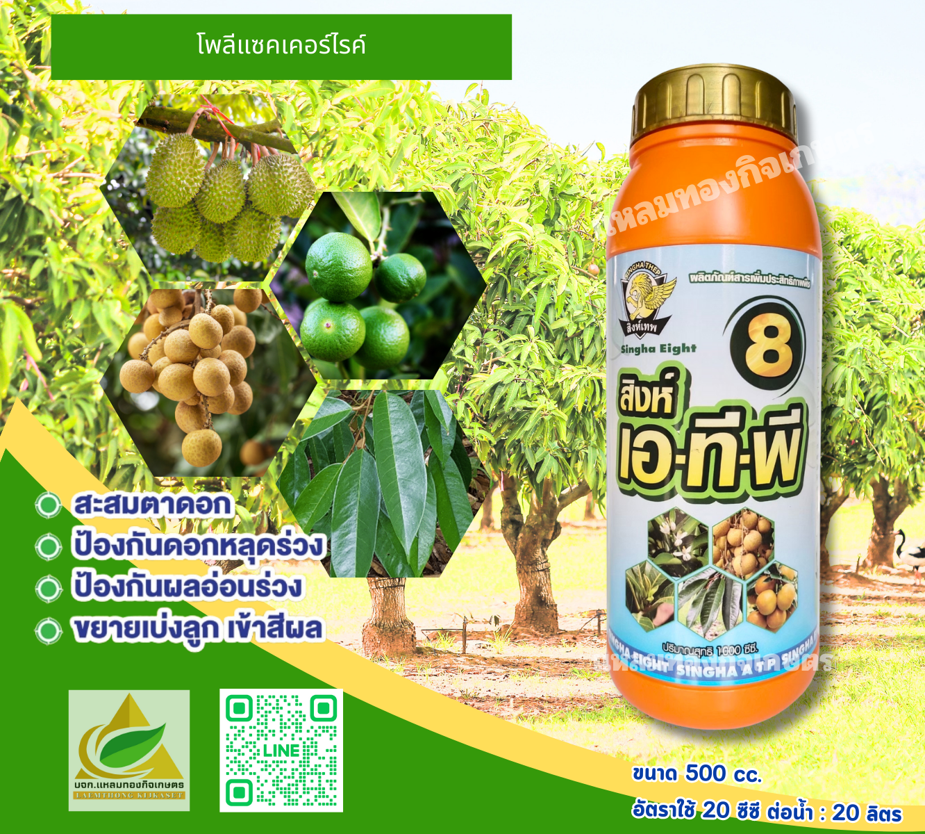 สิงห์ เอ-ที-พี ฮอร์โมน ตราสิงห์เทพ ลิตร