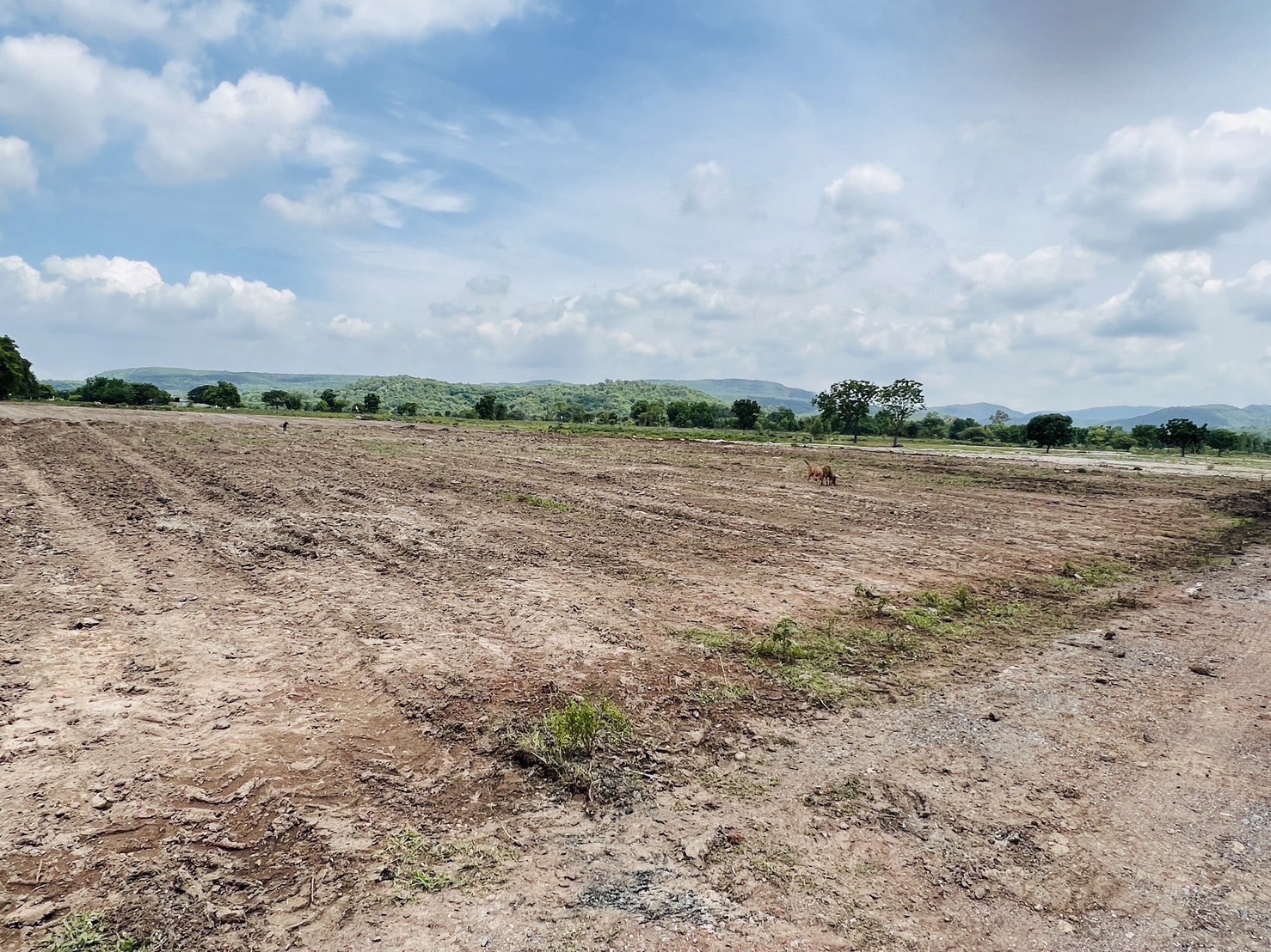 ขายที่ดินราคาถูก วิวสวยเนื้อที่ 87 ไร่ 2 งาน 45 ตารางวา หน้ากว้างติดถนนลาดยาง 580 เมตร สนใจซื้อที่ดิน ที่ดินเปล่า อสังหาทรัพย์เพื่อการลงทุน