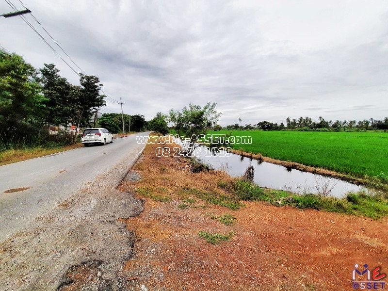 ขายที่ดินเปล่า ย่าน ลานตากฟ้า งิ้วราย มหาสวัสดิ์ : ใกล้ ม.พฤกษา 8 : 11-1-6 ไร่