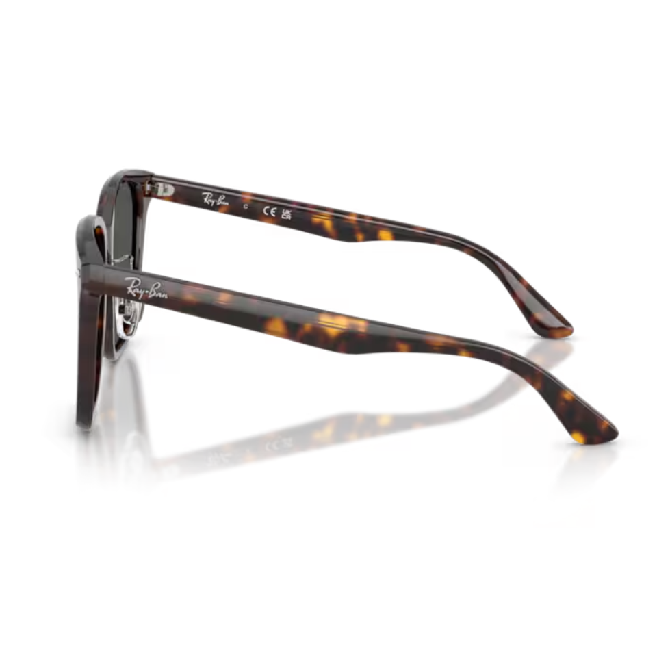 แว่นกันแดด RAYBAN-RB2206D 710/87