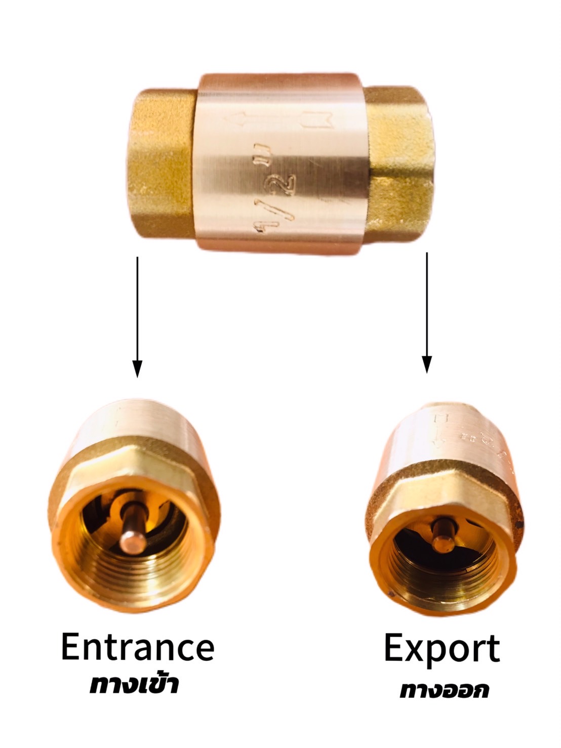 เช็ควาล์วกันกลับทองเหลือง ขนาด 1/2 นิ้ว เกลียวใน-ใน ( Brass Check Valve 1/2" Female to Female Thread )#00006
