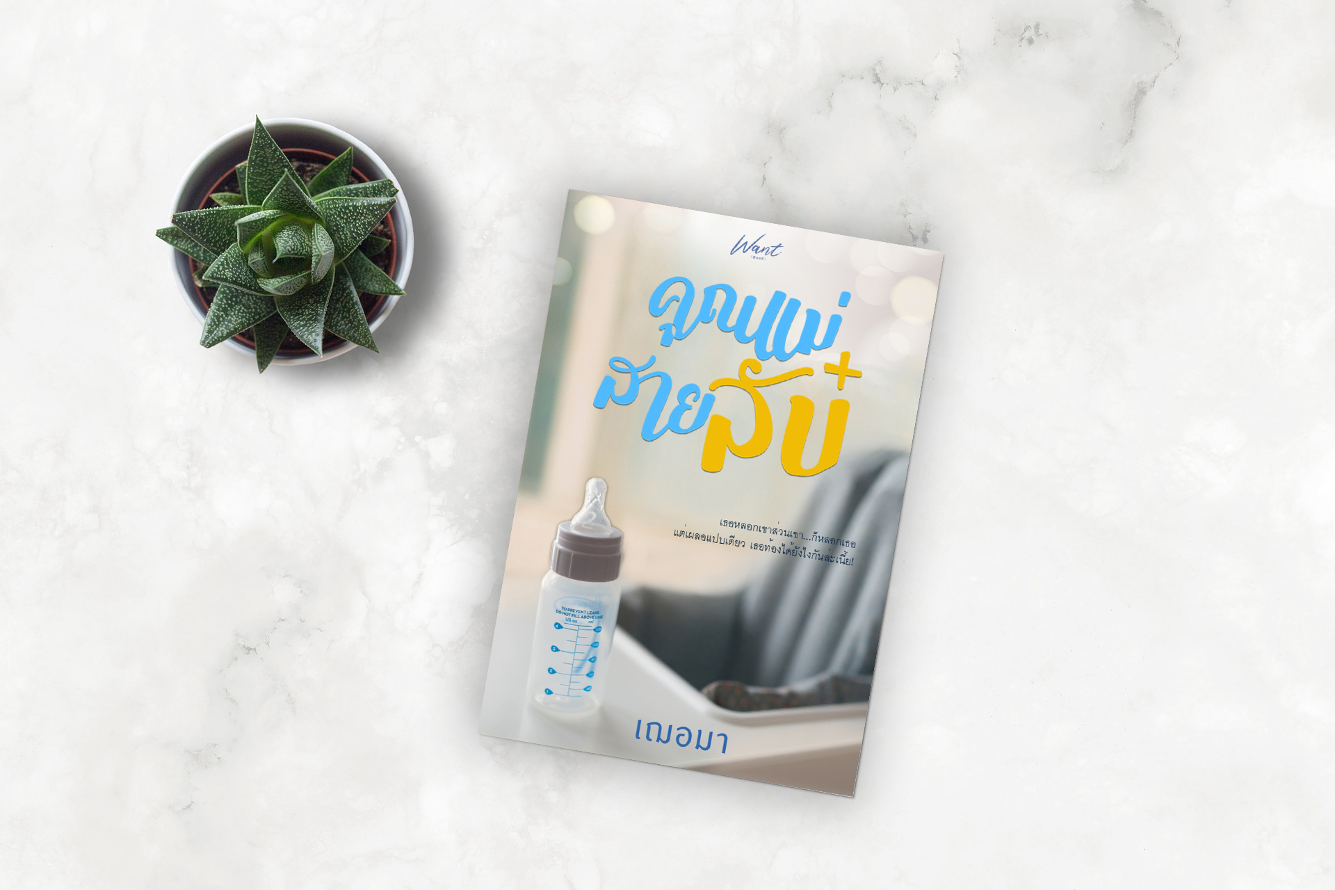 พร้อมส่ง : คุณแม่สายลับ