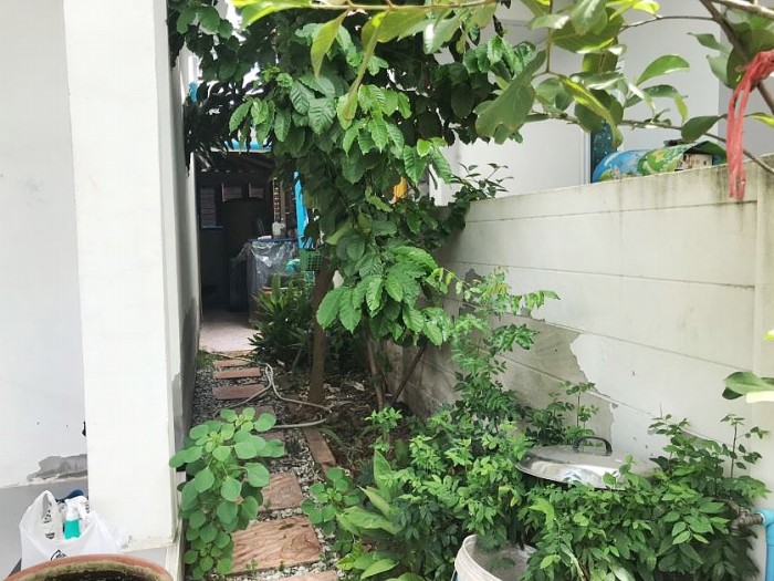 ขายบ้านแฝด ม.วิเศษสุขนคร 19 เฟส 2 ถ.พระราม 2 ซ.วัดพันท้ายนรสิงห์ ต.พันท้ายนรสิงห์ อ.เมือง สมุทรสาคร / พื้นที่ 2 ชั้น 35.9 ตารางวา