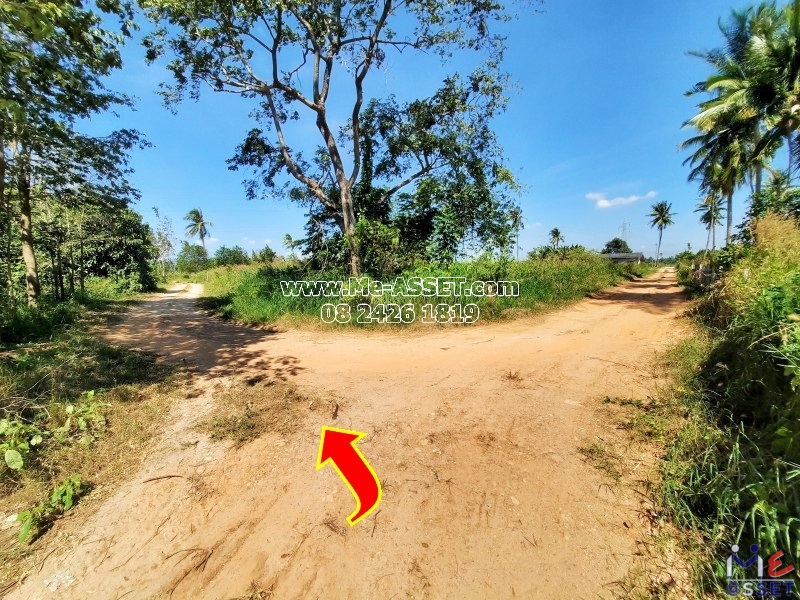ขายที่ดินเกษตร ปลูกสวนยาง และต้นสัก ต.เกาะหลัก อ.เมือง ประจวบคีรีขันธ์ ใกล้อ่าวมะนาว : 5-1-34 ไร่