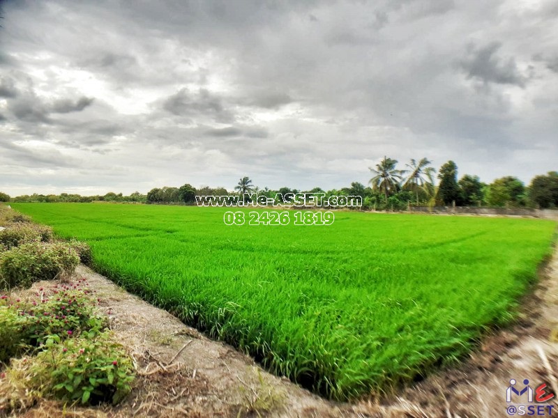 ขายที่ดินเปล่า ย่าน ลานตากฟ้า งิ้วราย มหาสวัสดิ์ : ใกล้ ม.พฤกษา 8 : 5-2-30.5 ไร่