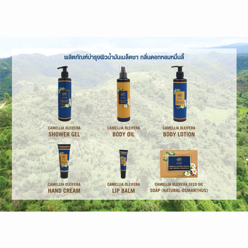 Exp.19/02/2026 Body oil น้ำมันเมล็ดคามีเลีย กลิ่นดอกหอมหมื่นลี้
