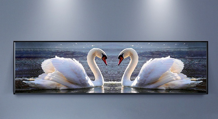 ชุดปักครอสติช swan of love (พิมพ์ลาย)