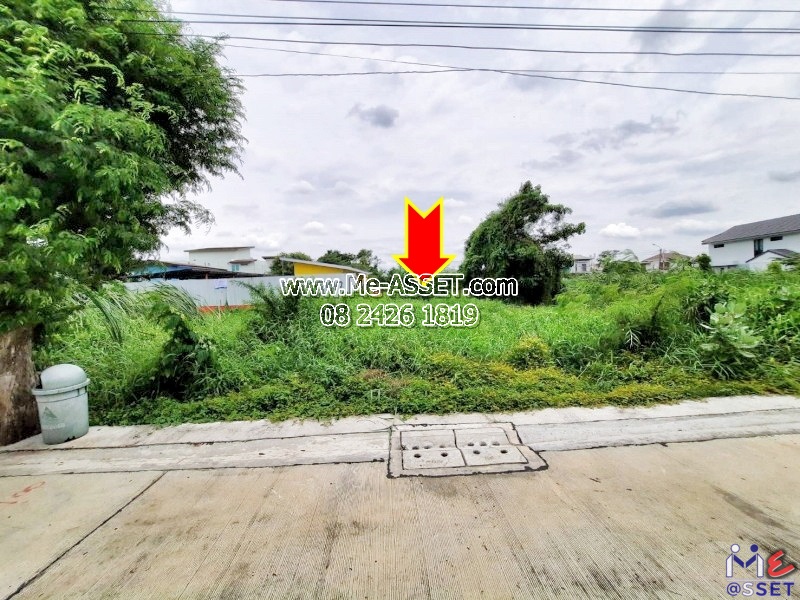 ขายที่ดินเปล่า ย่าน ถนอมมิตร ท่าแร้ง วัชรพล สุขาภิบาล 5, ใกล้ รร.สายอักษร : รามอินทรา 65 แยก 2-6 ซ.บุรุษพัฒน์ 6 : 43 ตร.วา