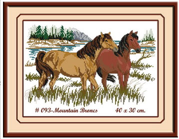 MOUNTAIN BRONCS