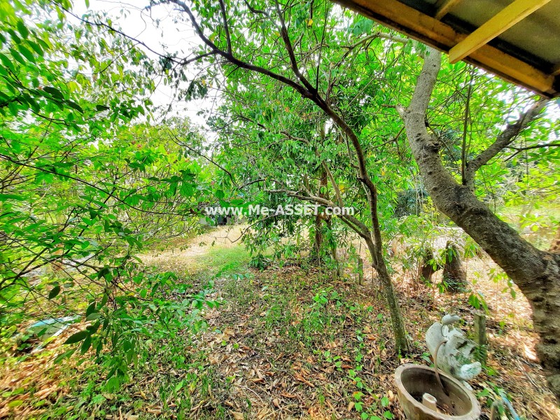 ขายบ้านเดี่ยว ถ.บางบัวทอง-สุพรรณ ต.ระแหง อ.ลาดหลุมแก้ว ปทุมธานี / พื้นที่ 2 ชั้น 200 ตารางวา