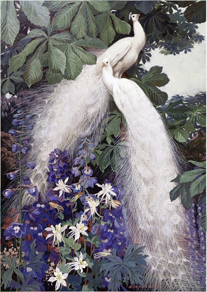 Couple peacock (พิมพ์ลาย)