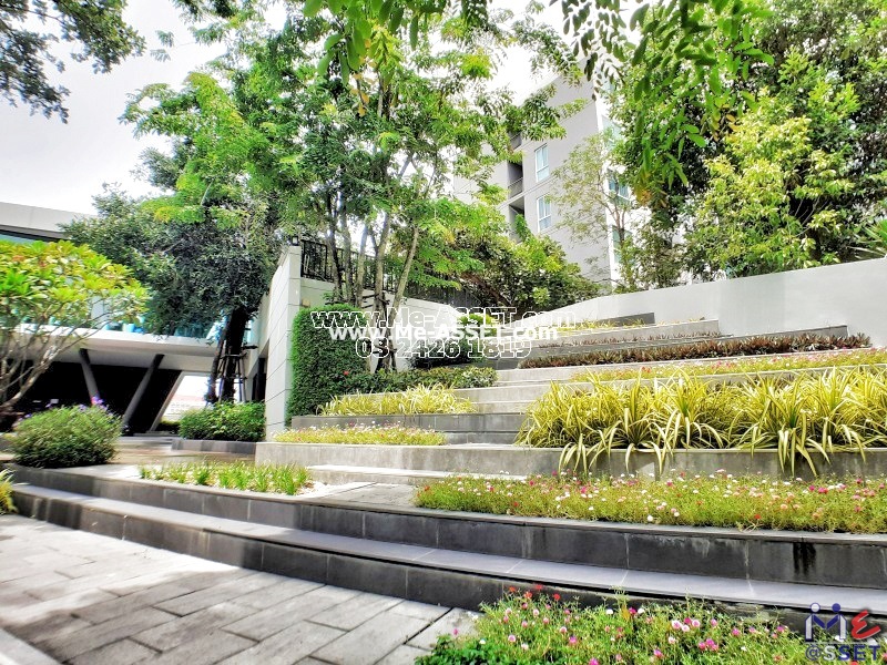 ขายและเช่า คอนโด ย่าน ศาลายา มหาสวัสดิ์ มหิดล ตั้งสิน สหพร บรมราชชนนี พุทธมณฑล : เซลศาลายา (Zelle Salaya) : 30.33 ตารางเมตร