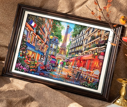 Paris street (พิมพ์ลาย)