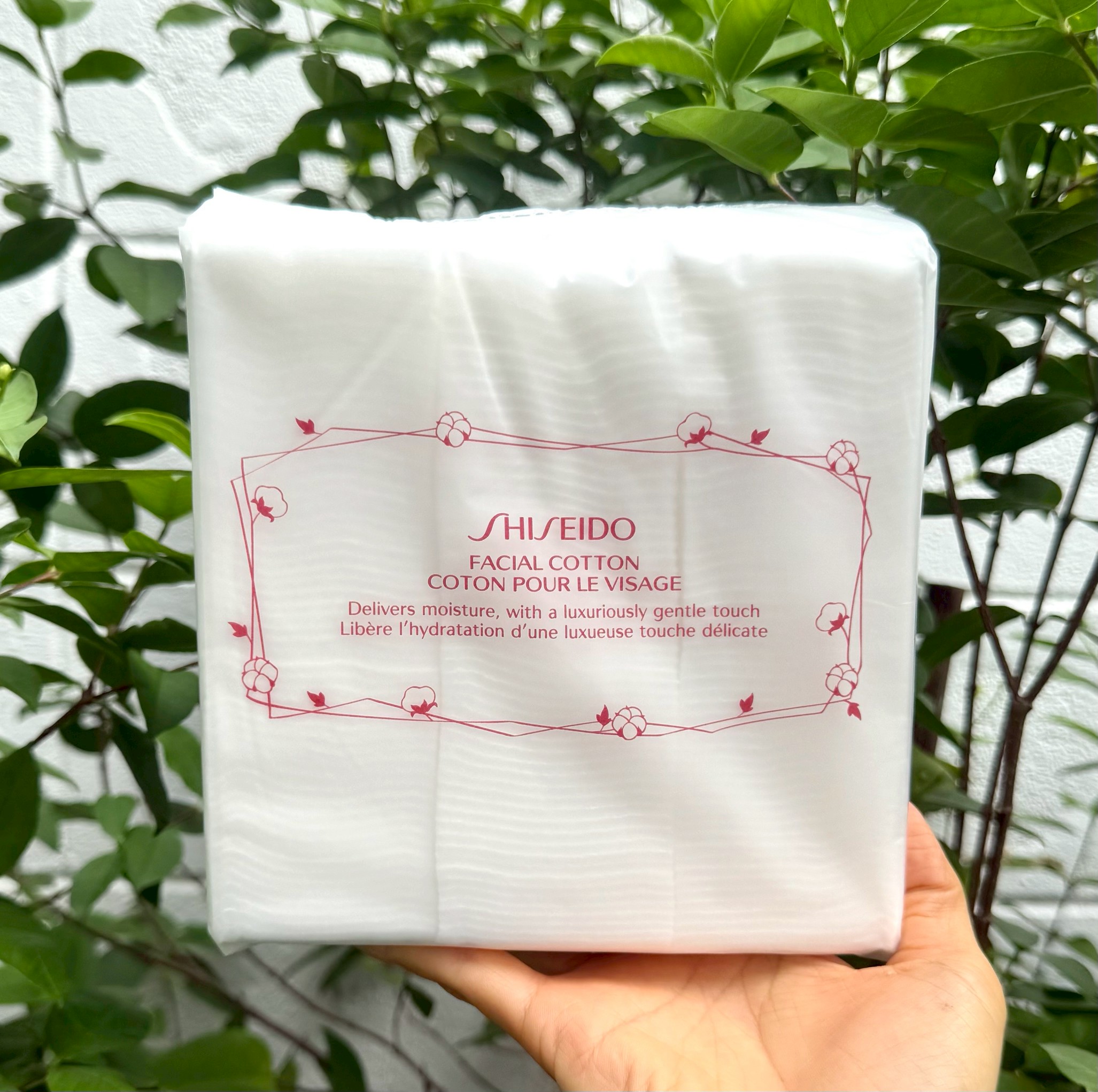 Shiseido Facial Cotton (165 Sheets) สำลีแผ่นคุณภาพดีจาก Shiseido