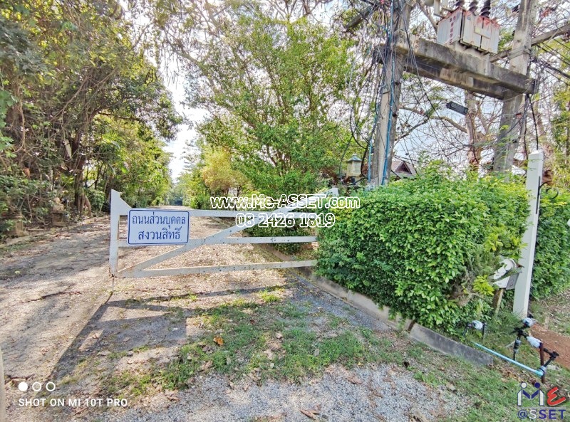 ขายบ้านเดี่ยว ย่าน เขาใหญ่ นิคมสร้างตนเอง มิตรภาพ มวกเหล็ก สระบุรี : ไอวี่คอทเทจบายคิวว์ Ivy Cottage by Qiu : 1 ชั้น 120 ตารางวา