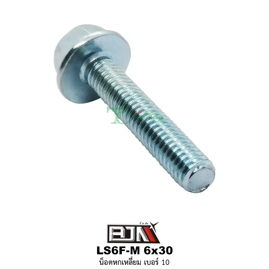 LS6F-M 6x30 น็อตหกเหลี่ยมเบอร์ 10 ( 1 ถุงมี 50 ตัว )