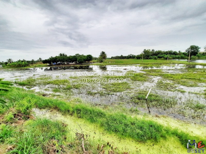 ขายที่ดินเปล่า ย่าน ลานตากฟ้า มหาสวัสดิ์ พุทธมณฑล งิ้วราย ดาวทอง : ใกล้ ม.พฤกษา 8 : เนื้อที่รวม 2 ไร่ แบ่งขายได้