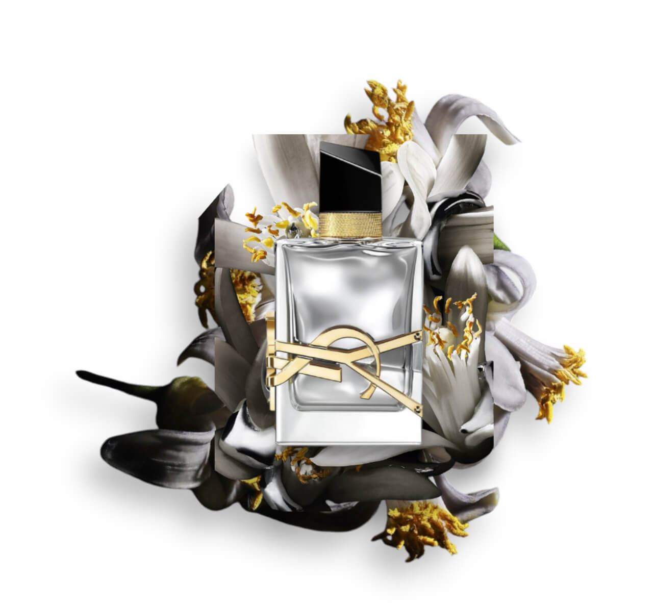 แบบแต้ม Yves Saint Laurent LIBRE L'Absolu Platine Parfum 7.5ml.