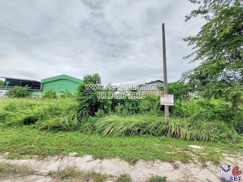 ขายที่ดินเปล่า ย่าน สามพราน ไร่ขิง นครชัยศรี บรมราชชนนี : ออมไทย : 100 ตร.วา (มี 2 แปลงติดกัน)
