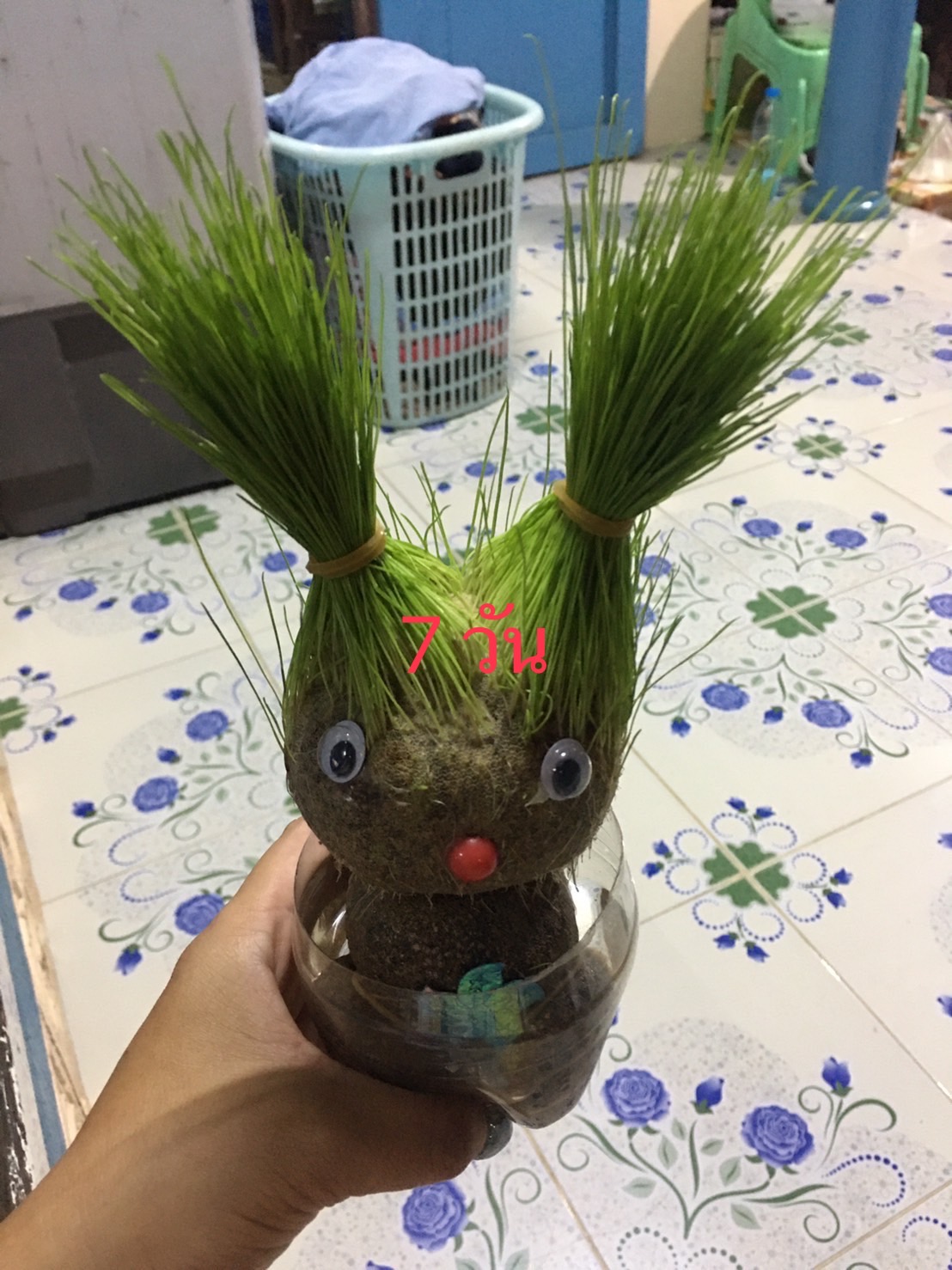 ตุ๊กตาต้นหญ้า