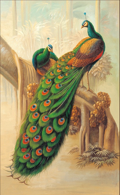 Peacock Couples (ไม่พิมพ์/พิมพ์ลาย)