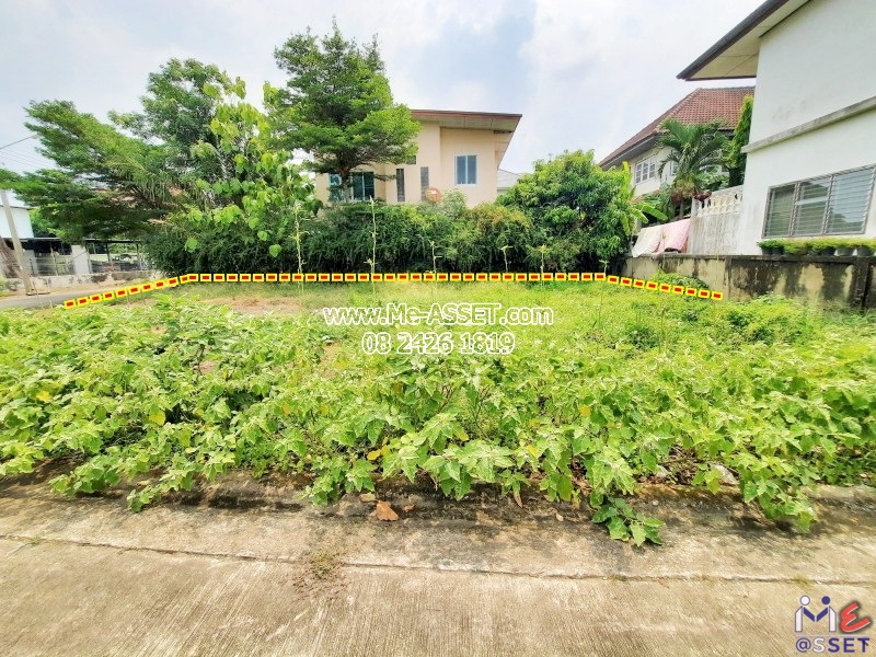 ขายที่ดินจัดสรร ถมแล้ว ย่าน ศาลายา บางภาษี คลองโยง มหาสวัสดิ์ ดาวทอง : ม.พุทธมณฑลแลนด์ : 62 ตร.วา