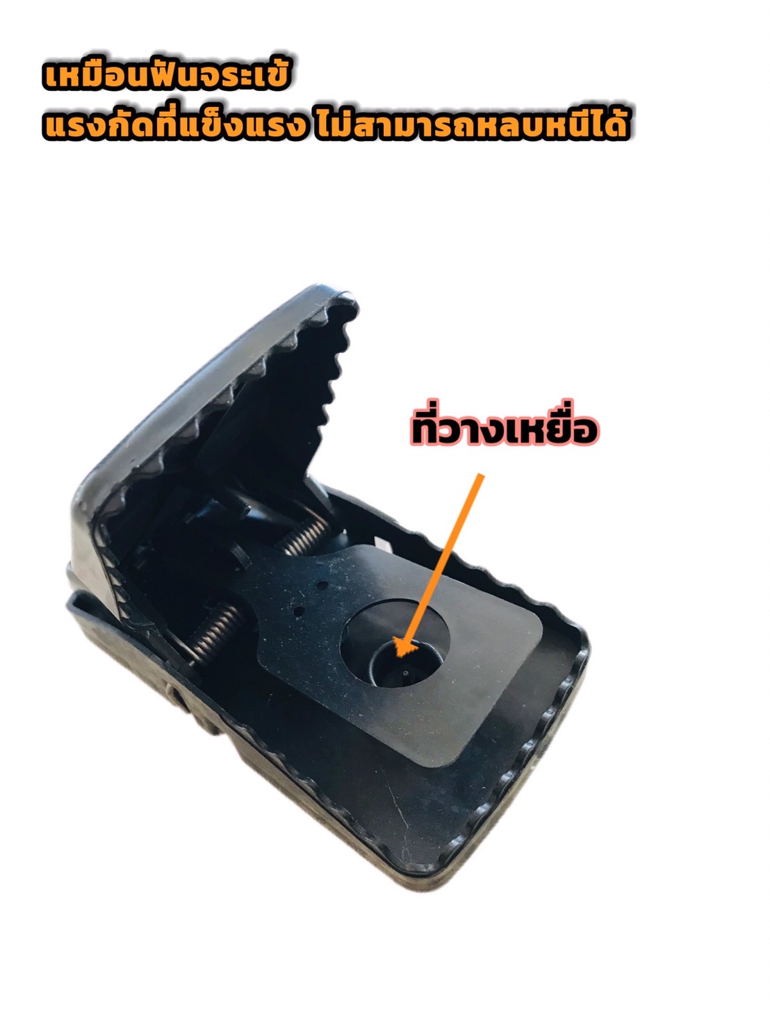 กับดักหนูพลังสูง รุ่นใหญ่ #150190