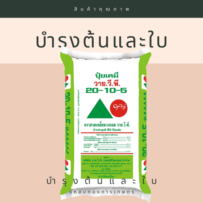 20-10-5 YVP ตราสามเหลี่ยมวงกลม