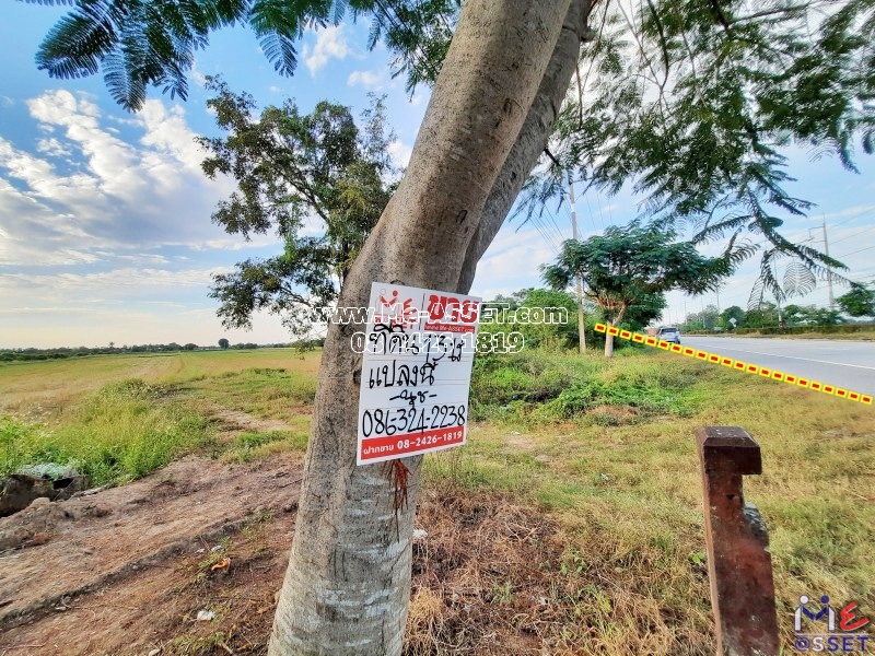 ขายที่ดินเกษตร ย่าน ไร่รถ หนองนา จิกรากข่า หนองแจง ดอนเจดีย์ อำเภอเมือง สุพรรณบุรี : ใกล้ อบต.ไร่รถ : 13 ไร่