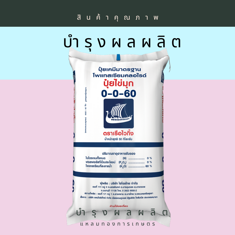 0-0-60 เม็ดแดง เรือใบไข่มุก