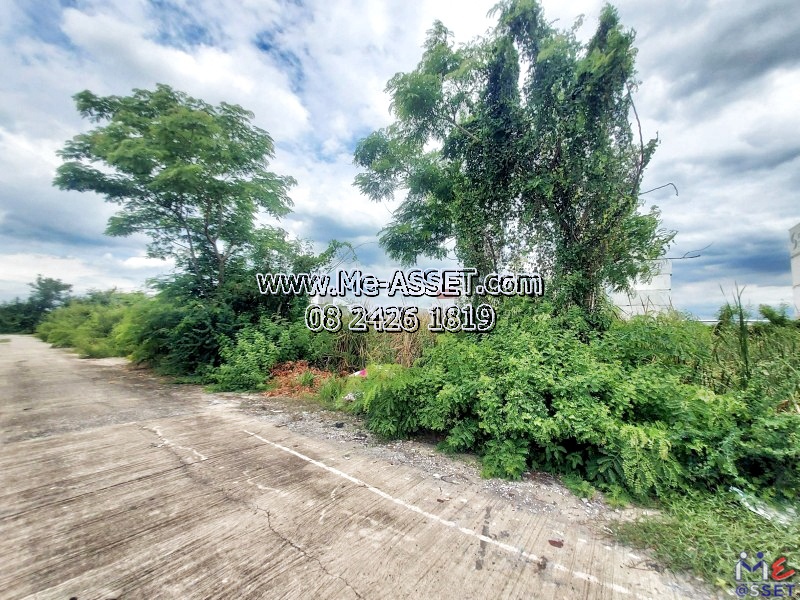 ขายที่ดินเปล่า ย่าน บึงทองหลาง ลำลูกกา คลอง11 : ใกล้บริษัทกิตติแมนูแฟคเจอร์ริ่ง : มี 5 แปลง / 100-200 ตร.วา / ราคาตารางวาละ 4,250 - 5,000 บาท