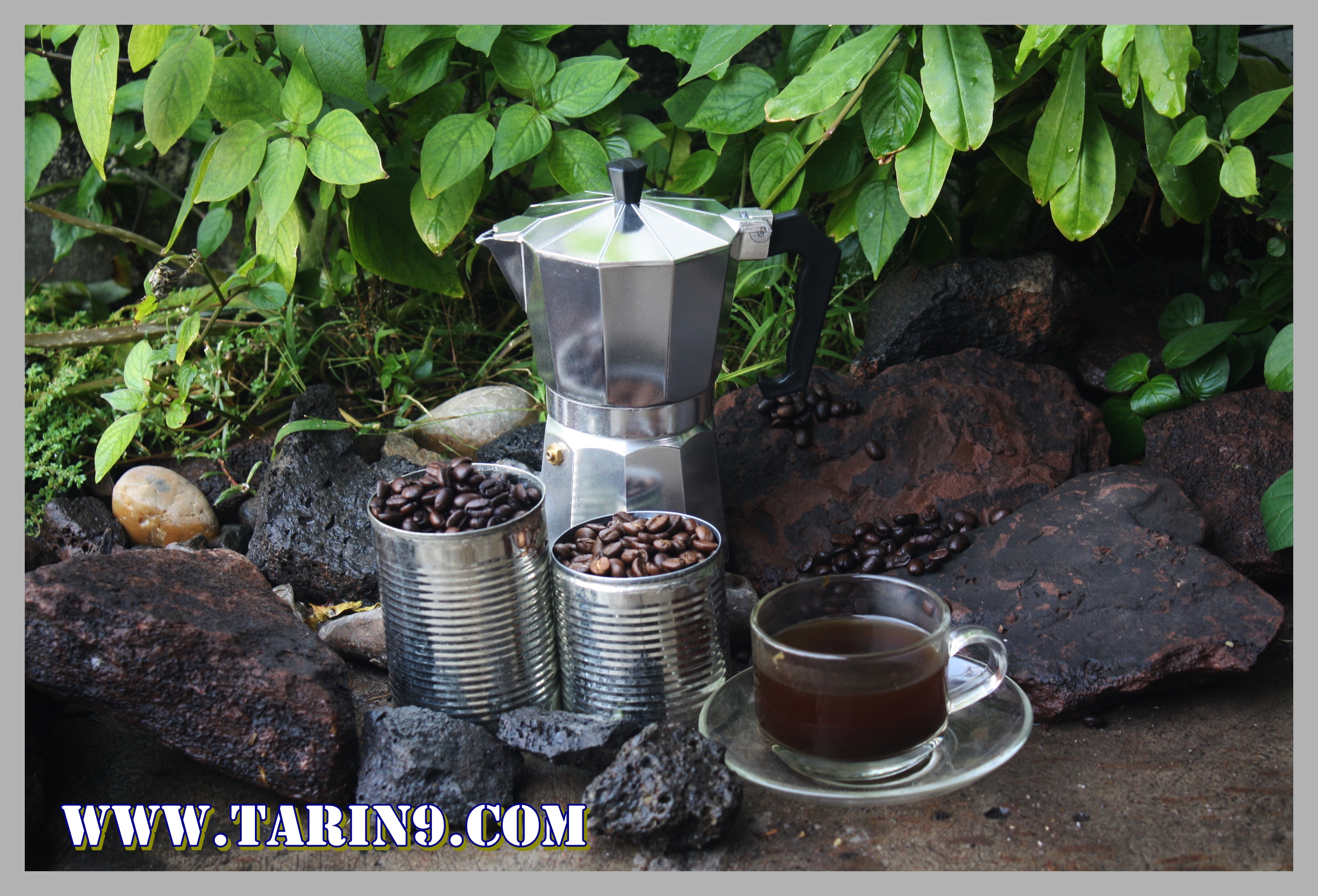 กาต้มกาแฟสดแบบพกพา หม้อต้มกาแฟแรงดัน