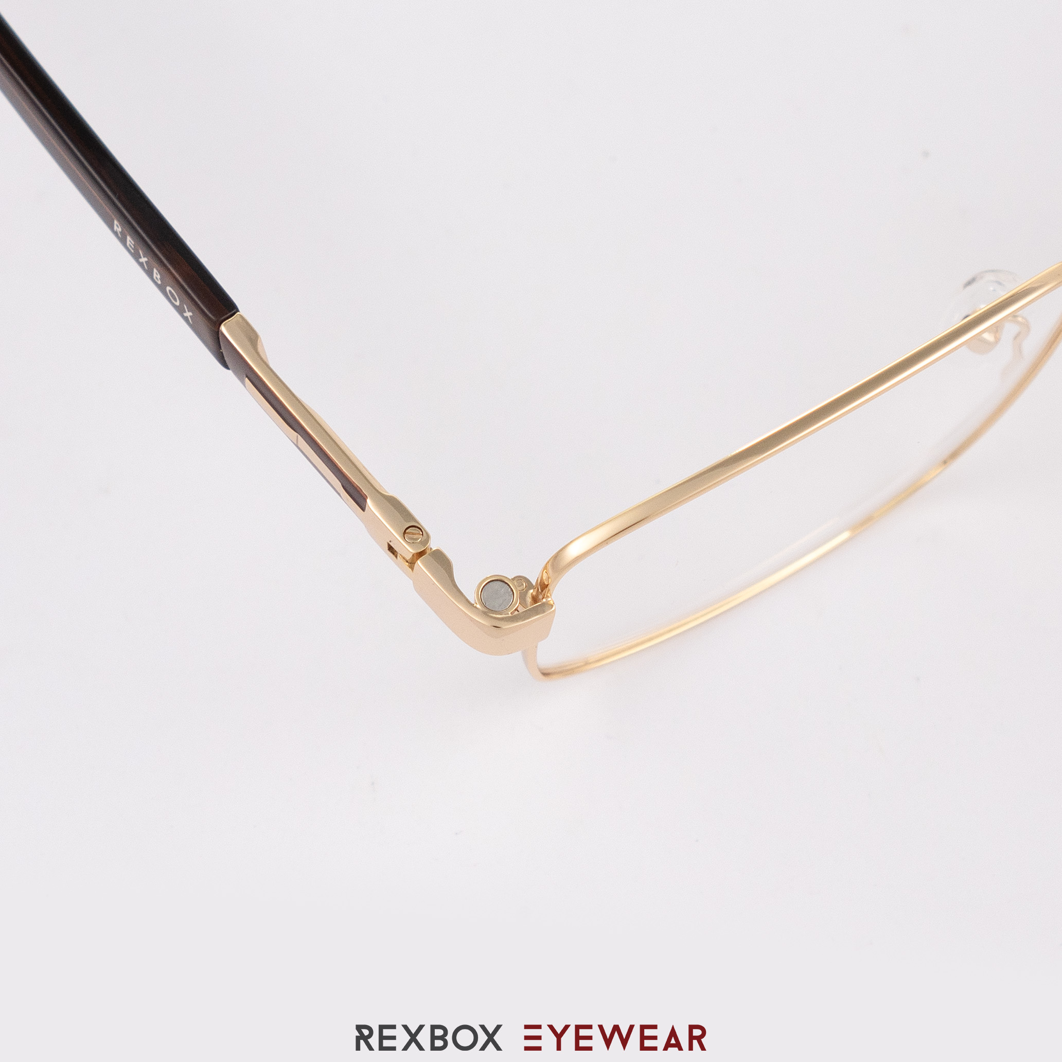 REXBOX | Steven สีทอง รุ่นกว้างพิเศษ กว้างขมับ 150mm เลนส์ 61mm