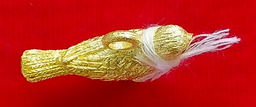 สาลิกาลิ้นบ่างปากแดง หลวงพ่อกอย วัดเขาดินใต้ จ.บุรีรัมย์