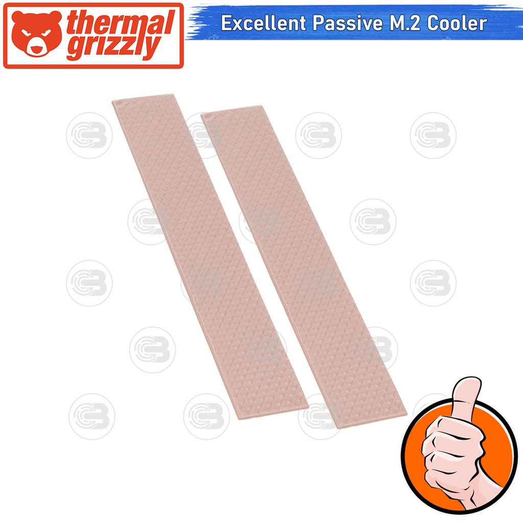 [CoolBlasterThai] Thermal Grizzly M.2 SSD Compact Passive Cooler