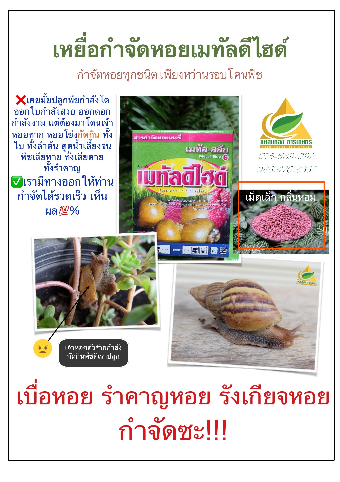 ยาฆ่าหอย ขนาด500กรัม