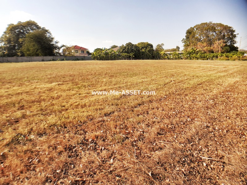 ขายบ้านเดี่ยว ม.กฤษดาซิตี้เลคแอนด์พาร์ค 30 ถ.เทพารักษ์ ต.บางปลา อ.บางพลี สมุทรปราการ / พื้นที่ 2 ชั้น 65.3 ตารางวา