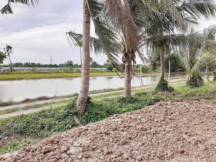 ขายที่ดินถมแล้ว ถ.บ้านกล้วย-ไทรน้อย ต.ไทรน้อย อ.ไทรน้อย นนทบุรี / พื้นที่ 100 ตารางวา