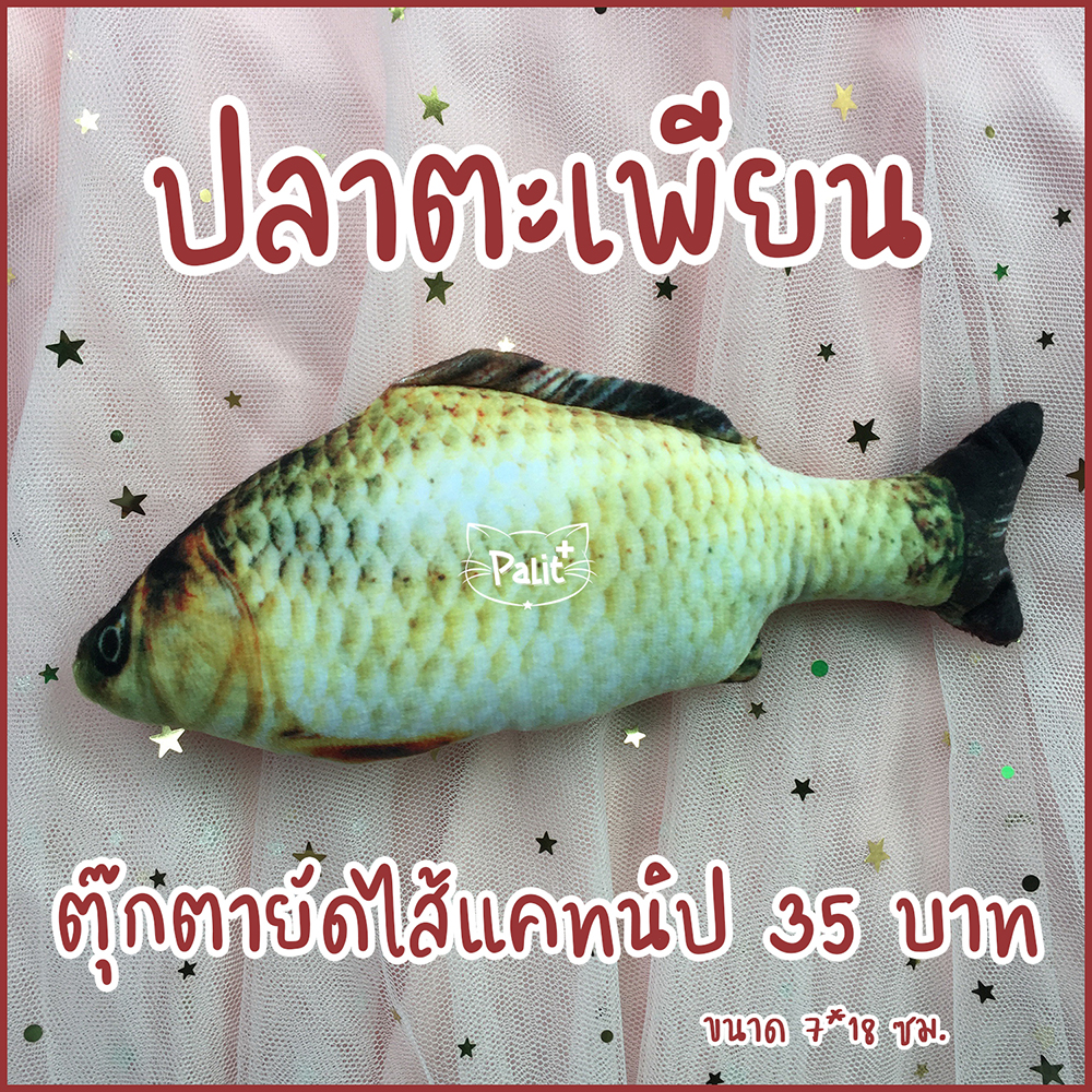ปลาตะเพียนแคทนิป