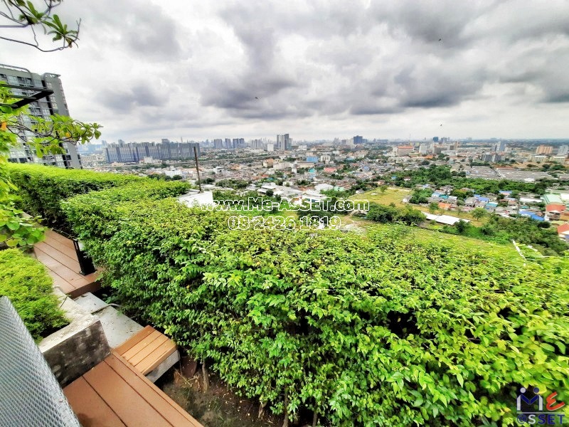 ขายและเช่า คอนโด ใกล้รถไฟฟ้า ย่าน วงศ์สว่าง บางซื่อ บางซ่อน : แอสปาย รัชดา-วงศ์สว่าง : 26.12 ตารางเมตร