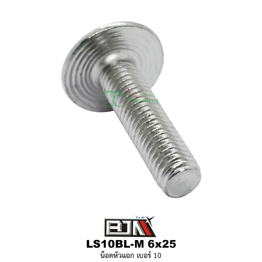 LS10BL-M 6x25 น็อตหัวแฉก เบอร์10 ( 1 ถุงมี 50 ตัว )