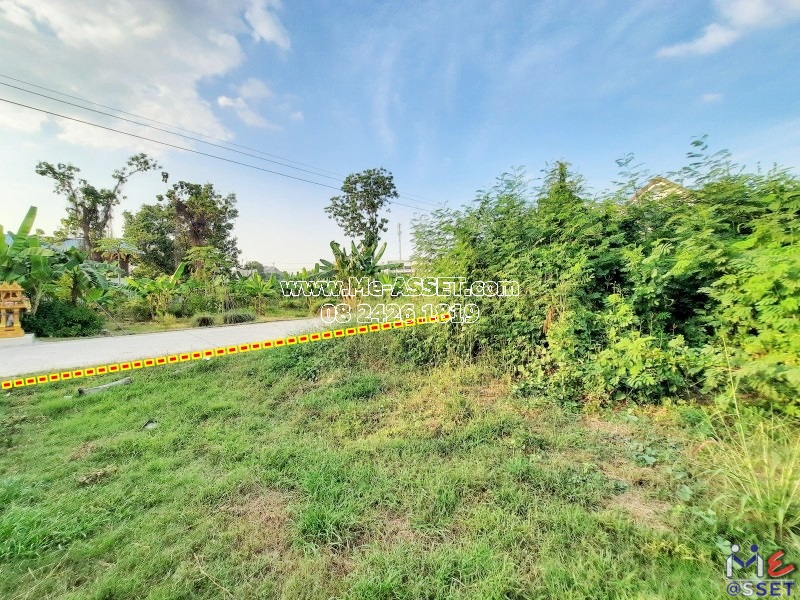 ขายที่ดินถมแล้ว ย่าน บรมไตรโลกนารถ วัดจันทร์ ท่าทอง ตัวเมืองพิษณุโลก : บรมไตรโลกนารถ 47 : 105.5 ตารางวา