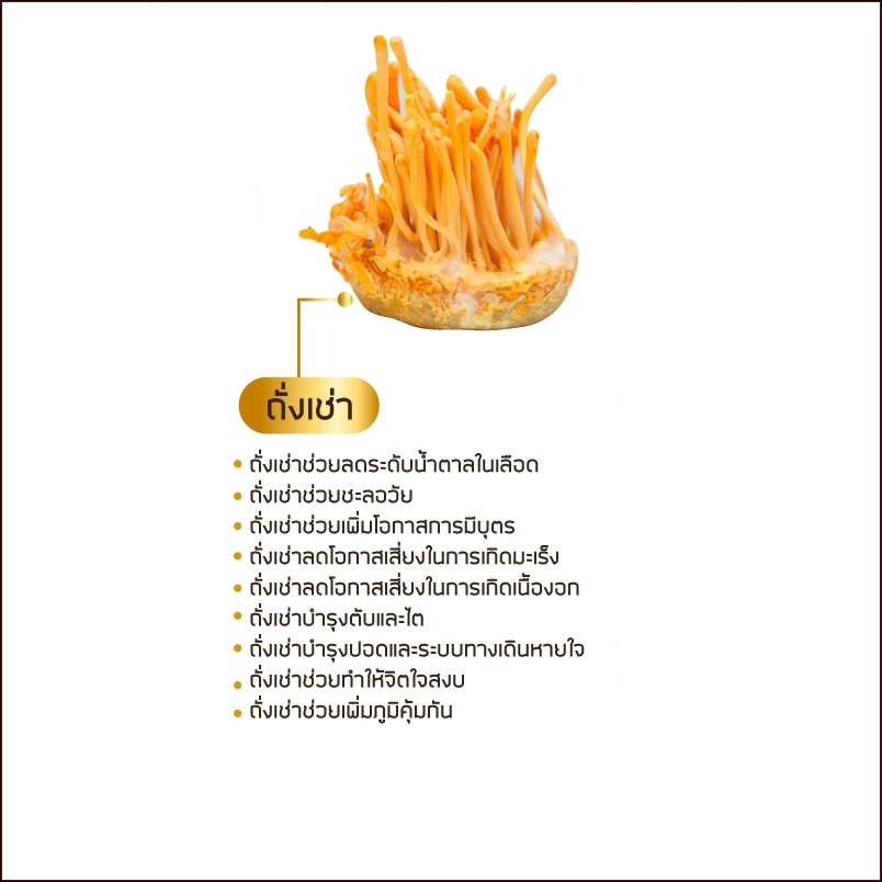 รากเห็ดถั่งเช่าสีทอง บดผง ดื่มบำรุงสุขภาพ น้ำหนัก 200 กรัม