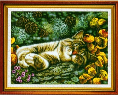 Sleeping cat (พิมพ์ลาย)