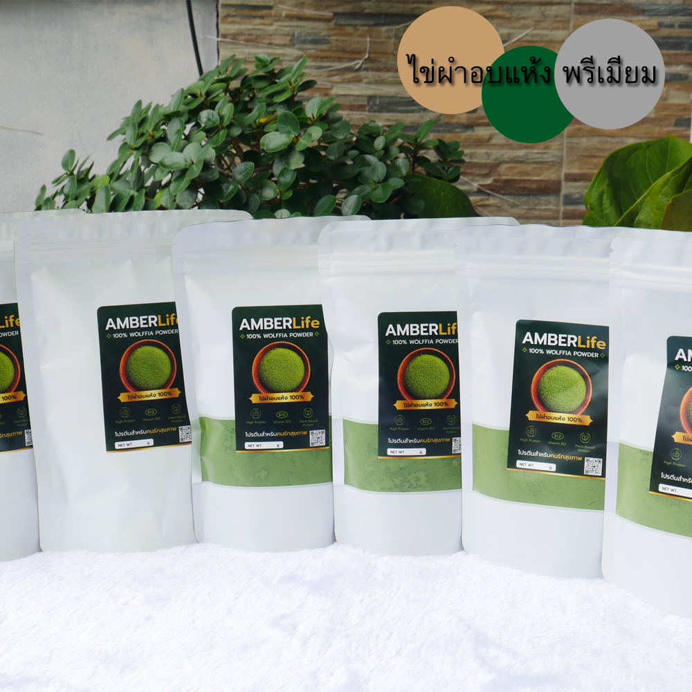AMBERLife ไข่ผำอบแห้ง [พรีเมี่ยม] Wolffia Powder [100 กรัม] ชงเป็นชา หรือจะผสมอะไรก็อร่อย โรยอาหารก็ดี มัทฉะไทยแลนด์ พืชน้ำจิ๋ว โปรตีนสูง