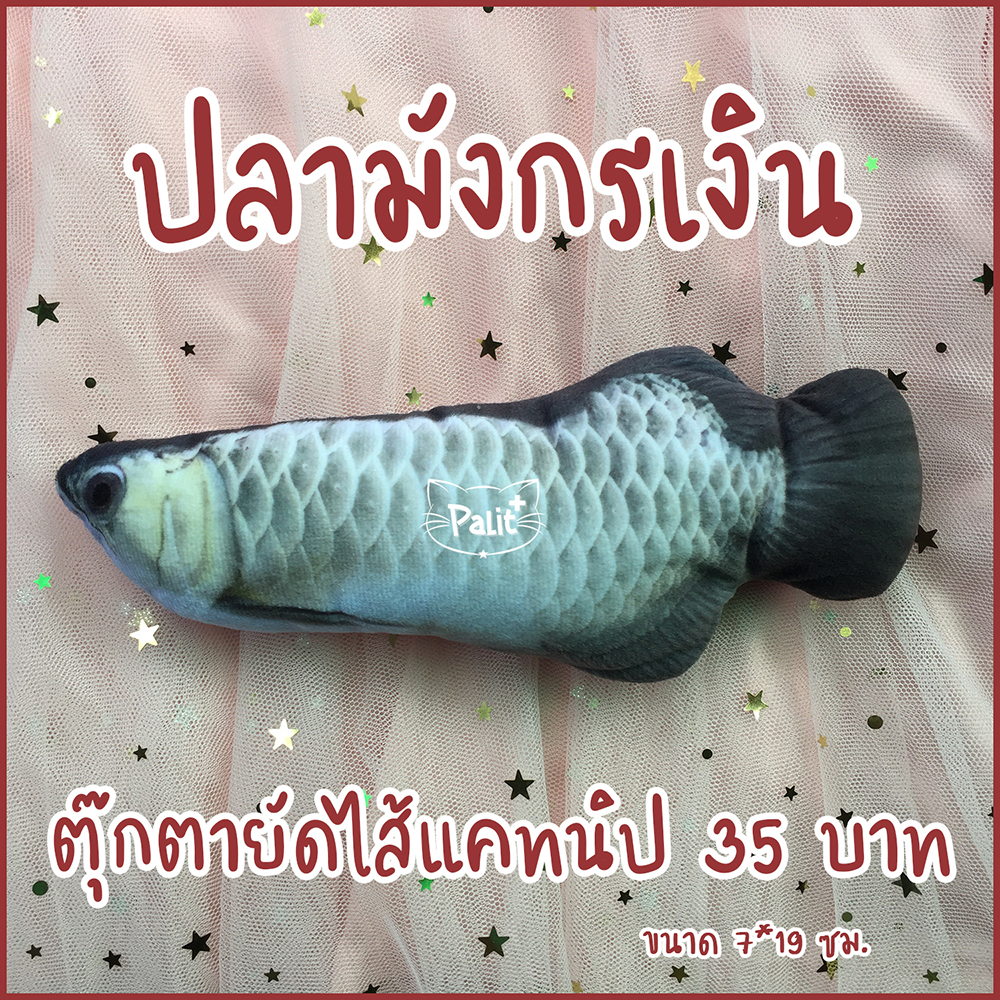 ปลามังกรเงินแคทนิป