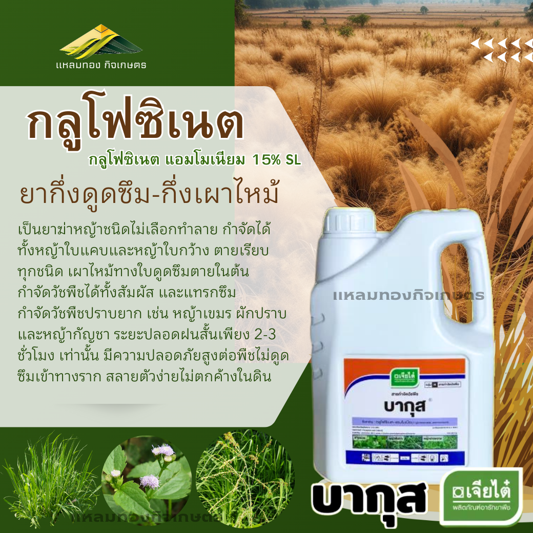 บากุส เจียไต๋ 4ลิตร (กลูโฟซิเนต)